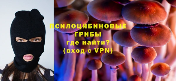 спайс Алзамай