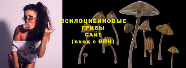 спайс Алзамай