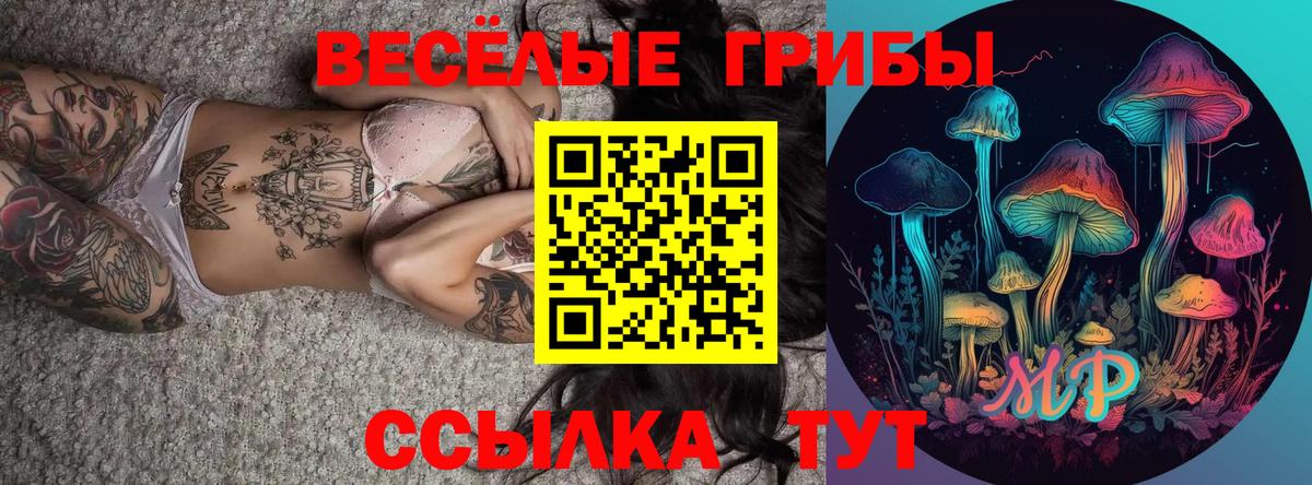 Галлюциногенные грибы ЛСД Сатка