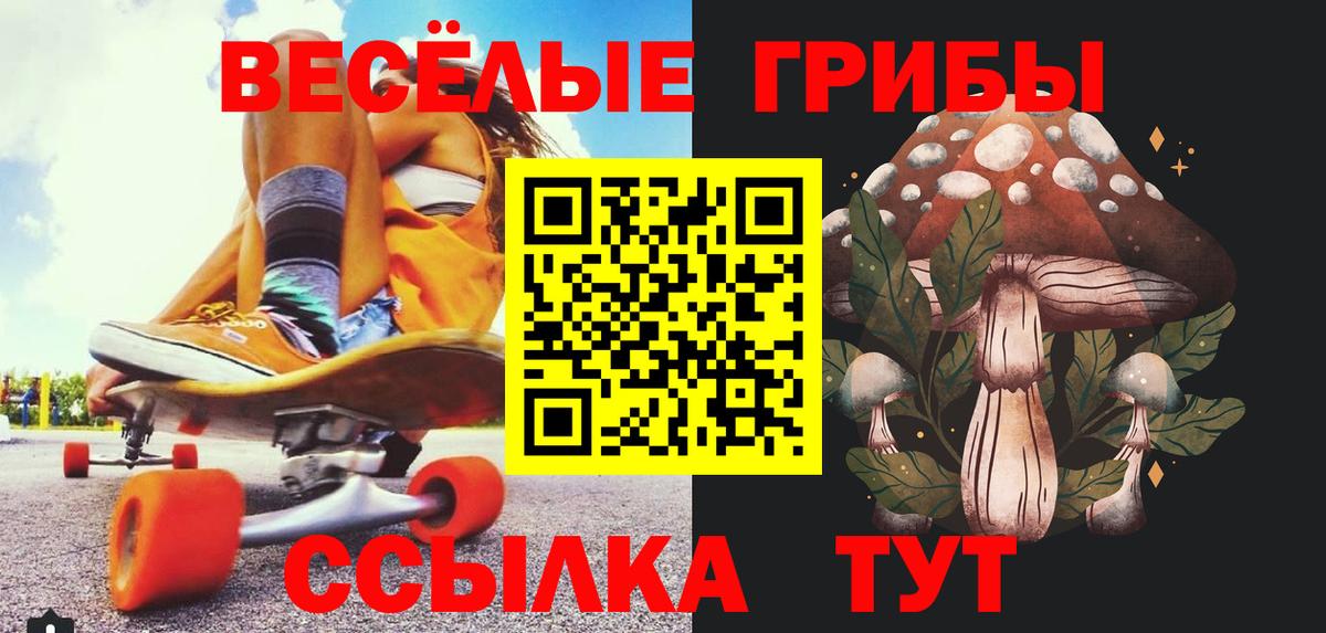 Галлюциногенные грибы GOLDEN TEACHER  Вход с VPN  купить наркотики цена  Сатка  Галлюциногенные грибы Psilocybine cubensis 