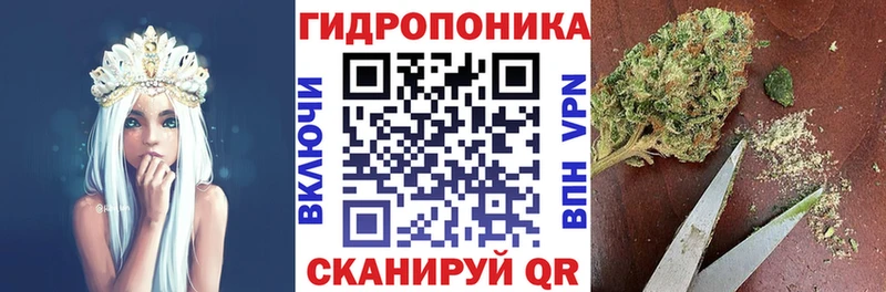 Шишки марихуана Amnesia цены наркотик Сатка